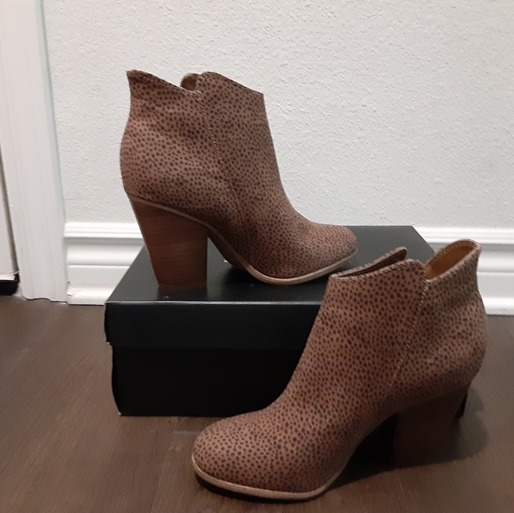 Michael Shannon - Picture 3 of 4